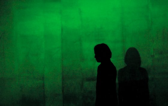 The Cleaners im Bundestag